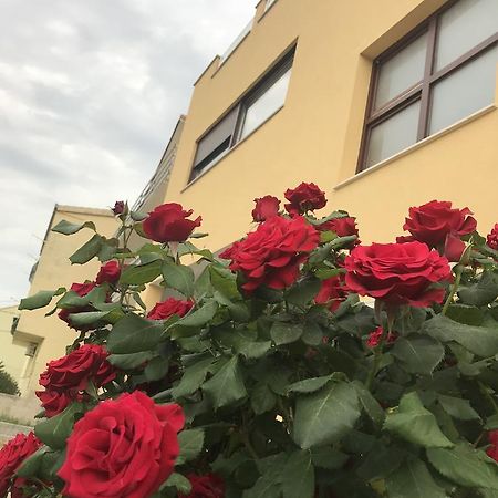Apartman Mig 솔린 외부 사진